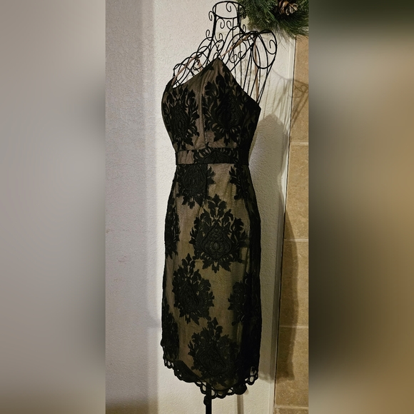 Forever 21 Black Lace and Mesh Cocktail Dress - Picture 2 of 7